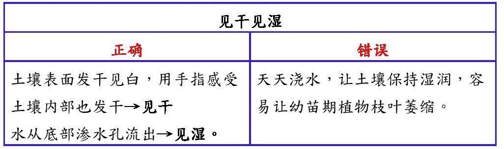 20220728-植物澆水最佳時間-page-001-表格-02.jpg